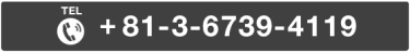 +81-3-6739-4119