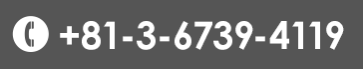 +81-3-6739-4119
