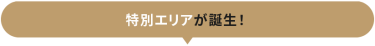 特設エリアが誕生！